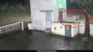 “رجل في مواجهة أسد”.. لقاء ينتهي بمفاجأة غير متوقعة