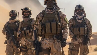 Firefly تصنيف الجيوش العربية الكبرى 2025 من يتفوق؟ 474784