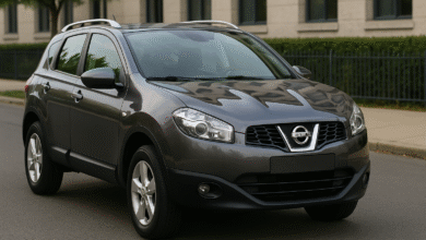 «نيسان قشقاي 2014