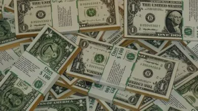 سعر الدولار اليوم في مصر: تحليلات وتوقعات المشهد الاقتصادي القادم
