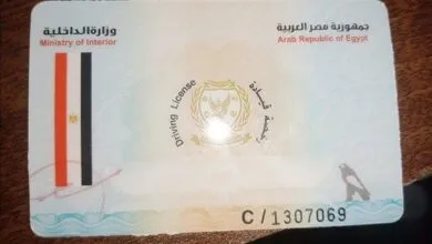 «رخصة قيادة دمياط» الدليل الكامل لاستخراجها والتجديد والخطوات الرسمية 2025