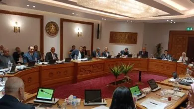 تعزيز الشراكة مع القارة السمراء… اجتماع اللجنة الدائمة لمتابعة العلاقات المصرية – الإفريقية