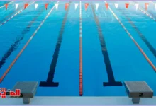 أخبار السباحة