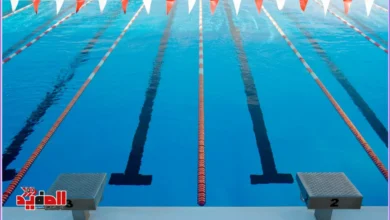أخبار السباحة