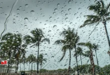 أخبار الطقس اليوم 5