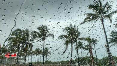 أخبار الطقس اليوم 5