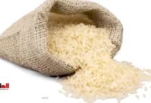 أسعار الأرز اليوم في مصر