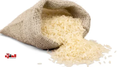 أسعار الأرز اليوم في مصر