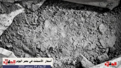 أسعار الأسمنت في مصر اليوم الأربعاء 24 ديسمبر 2025