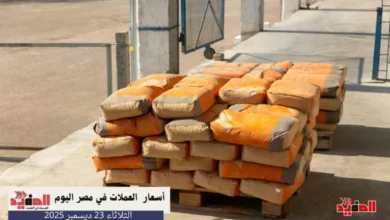 أسعار الأسمنت في مصر اليوم الثلاثاء 23 ديسمبر 2025