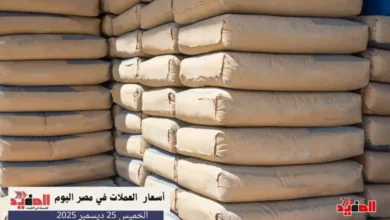 أسعار الأسمنت في مصر اليوم الخميس 25 ديسمبر 2025