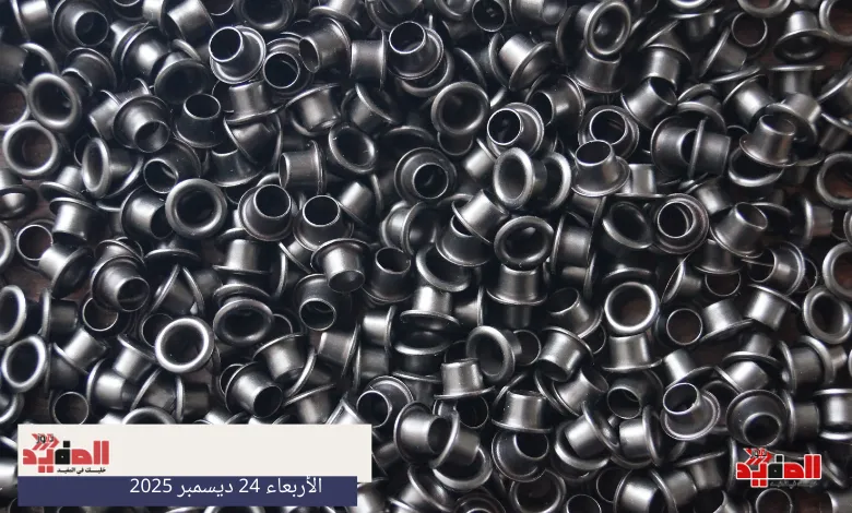 أسعار الحديد في مصر اليوم الأربعاء 24 ديسمبر 2025