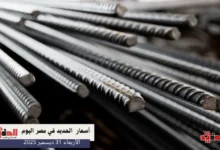 أسعار الحديد في مصر اليوم الأربعاء 31 ديسمبر 2025