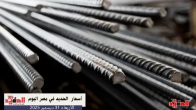 أسعار الحديد في مصر اليوم الأربعاء 31 ديسمبر 2025
