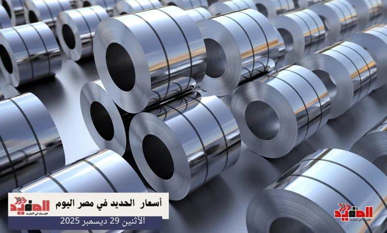 أسعار الحديد في مصر اليوم الاثنين 29 ديسمبر 2025