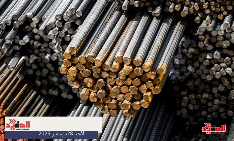 أسعار الحديد في مصر اليوم الاحد 28 ديسمبر 2025