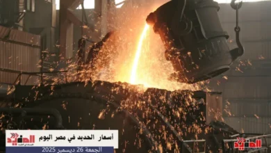 أسعار الحديد في مصر اليوم الجمعة 26 ديسمبر 2025