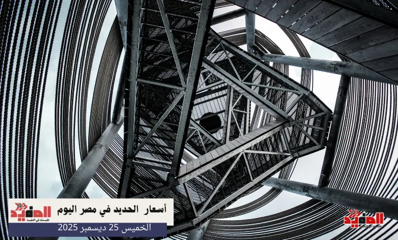 أسعار الحديد في مصر اليوم الخميس 25 ديسمبر 2025
