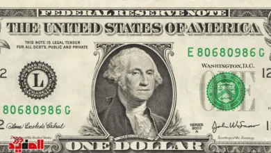 أسعار الدولار اليوم في مصر الأحد 21/12/2025