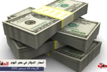 أسعار الدولار في مصر اليوم الأربعاء 24 ديسمبر 2025