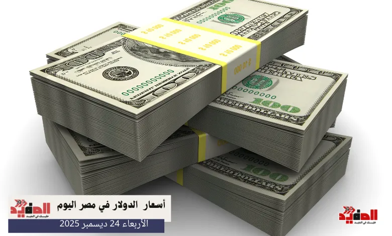 أسعار الدولار في مصر اليوم الأربعاء 24 ديسمبر 2025