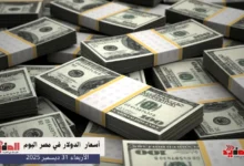 أسعار الدولار في مصر اليوم الأربعاء 31 ديسمبر 2025
