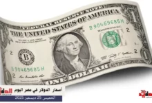أسعار الدولار في مصر اليوم الخميس 25 ديسمبر 2025