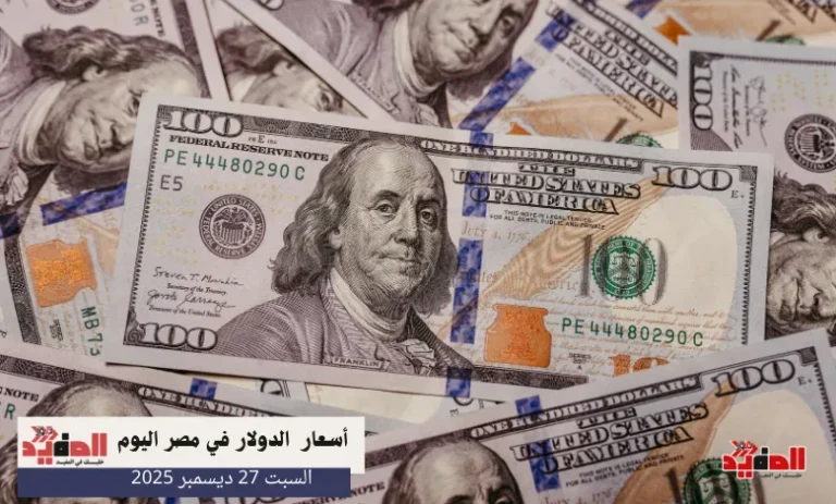 كيف يتحدد سعر الدولار محليًا؟ العوامل التي تحرك سعر الصرف