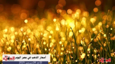 أسعار الذهب في مصر اليوم الاحد 28 ديسمبر 2025