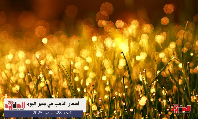 أسعار الذهب في مصر اليوم الاحد 28 ديسمبر 2025