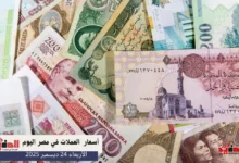 أسعار العملات في مصر اليوم الأربعاء 24 ديسمبر 2025