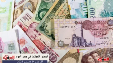أسعار العملات في مصر اليوم الأربعاء 24 ديسمبر 2025