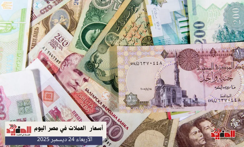 أسعار العملات في مصر اليوم الأربعاء 24 ديسمبر 2025