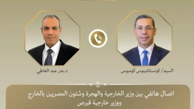 اتصال هاتفي الخارجية المصرية