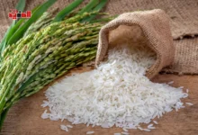 اسعار الارز اليوم