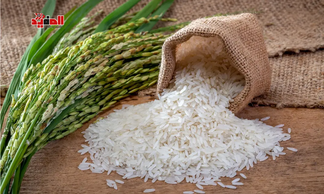 أسعار الأرز اليوم في مصر 18/12/2025 | استقرار في الأسواق وتفاوت حسب النوع 🍚