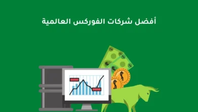 افضل شركات الفوركس