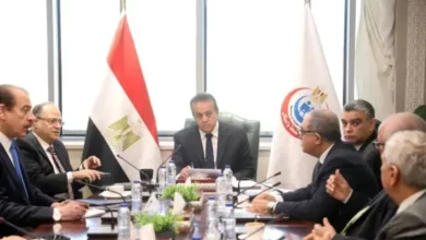 الحكومة تطلق تحركًا موسعًا لتوطين الصناعات الدوائية وتعزيز الاستثمار المحلي