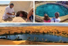 السياحة العلاجية في مصر