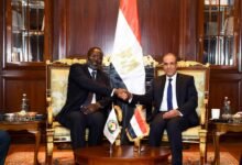 تحرّك دبلوماسي مصري لافت في أفريقيا