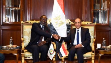 تحرّك دبلوماسي مصري لافت في أفريقيا