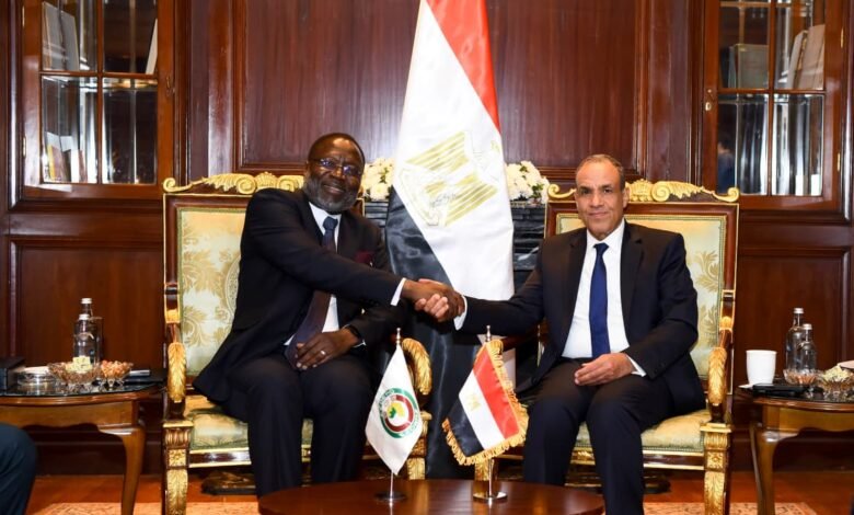 تحرّك دبلوماسي مصري لافت في أفريقيا