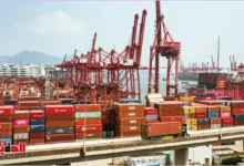 تنمية الموانئ المصرية