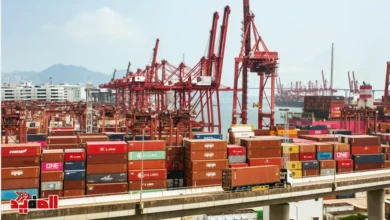 تنمية الموانئ المصرية