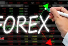 شركة forex com نصابة