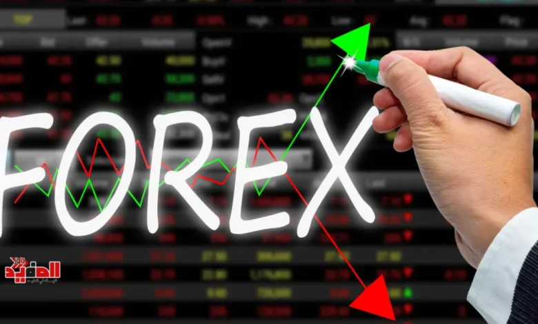 شركة forex com نصابة