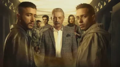 عدد حلقات مسلسل ولاد الشمس