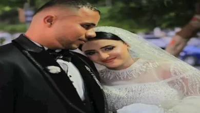 عروس المنوفية