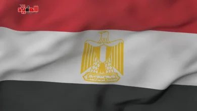 قوانين جديدة في مصر