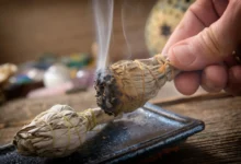 ما سبب الهاموش في المنزل